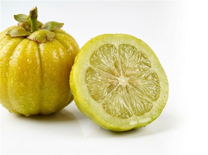 Fruit Garcinia cambogia (Brindle Berry) utilisé dans les sticks de gelée Hinuki